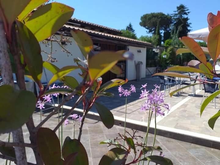 Filandari Borgo Nicoletta Case Per Le Vacanze מראה חיצוני תמונה